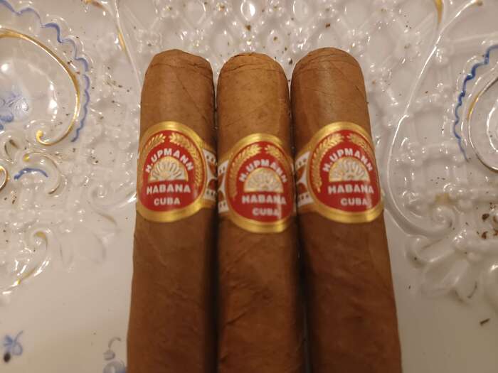 H. Upmann Majestic  