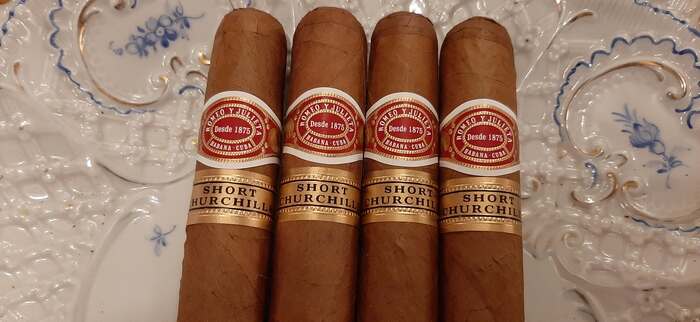 Romeo & Julieta Short Churchill   OUT OF STOCK