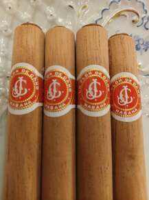 J. Cano Petit Corona