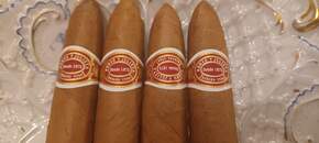 Romeo & Julieta Belicosos