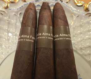 Plasencia Alma Fuerte Generacion V Salomon