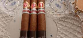 Fonseca Du Nord Regional Edition 2025