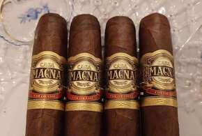 Casa Magna Robusto bundle of 12 cigars