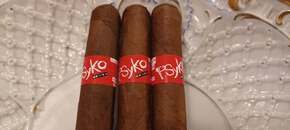 Psyko seven Toro Maduro bundle of 10 cigars