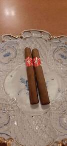 Bravos Connecticut Corona bundle of 20