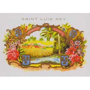 Saint Luis Rey