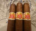 Hoyo de Monterrey Palmas Extras