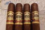 Casa Magna Robusto bundle of 12 cigars