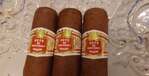 Hoyo de Monterrey Petit Robustos  box of 25 cigars