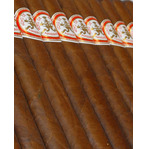 Hoyo De Monterrey Double Corona