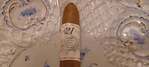 Gurkha Cellar Reserve 21yr Hedonism Grand Rothschild bundle of 10 cigars